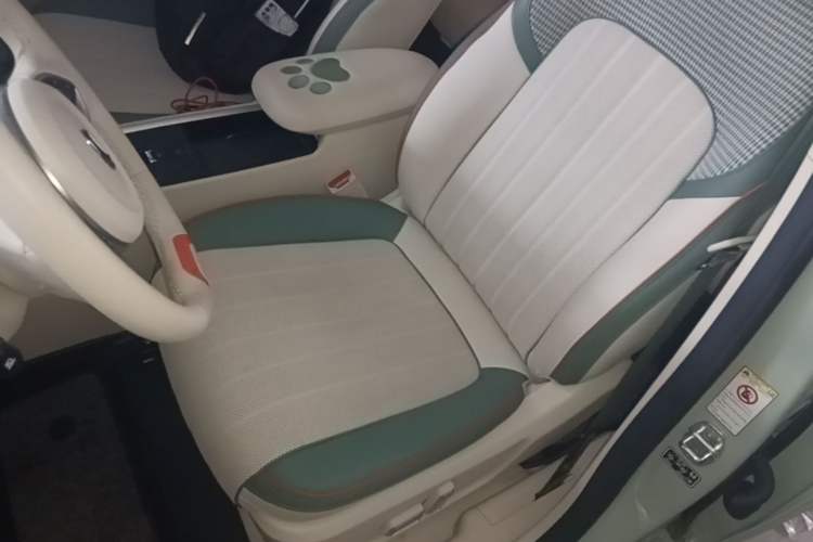 Used ORA Good Cat 2022 Morandi Edition 400km Standard Range Premium Version Lithium-Ion Battery Left Front Seat