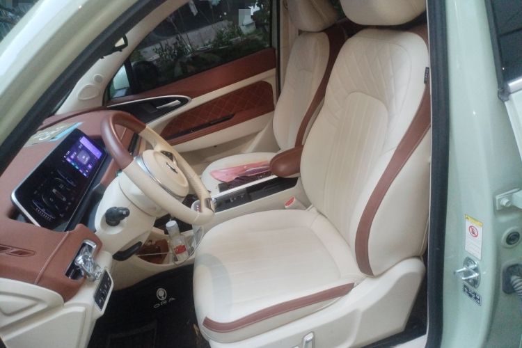 Used ORA Good Cat 2022 Morandi Edition 400km Standard Range Luxury Version Lithium Iron Phosphate Left Front Seat