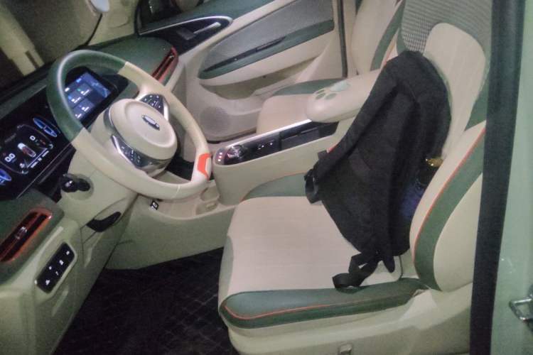 Used ORA Good Cat 2022 Morandi Edition 400km Standard Range Luxury Version Lithium Iron Phosphate Left Front Seat