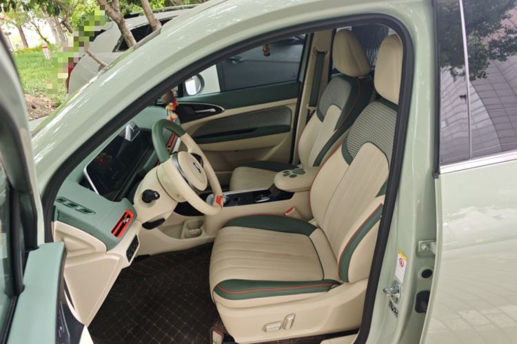 Used ORA Good Cat 2022 Morandi Edition 400km Standard Range Luxury Version Lithium Iron Phosphate Left Front Seat