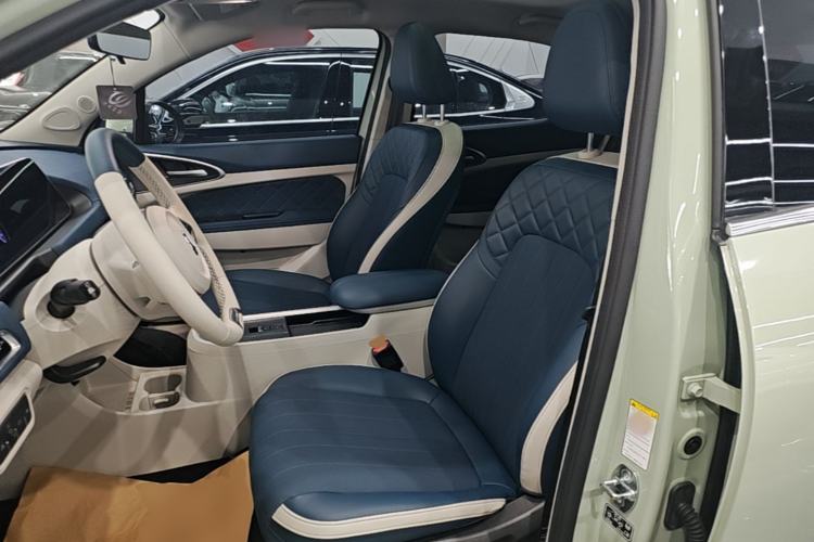 Used ORA Good Cat 2022 Morandi Edition 400km Standard Range Premium Version Lithium Iron Phosphate Left Front Seat
