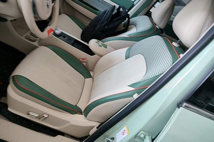 Used ORA Good Cat 2022 Morandi Edition 400km Standard Range Luxury Version Lithium-Ion Battery Left Front Seat