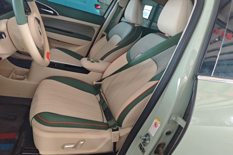 Used ORA Good Cat 2022 Morandi Edition 400km Standard Range Luxury Version Lithium-Ion Battery Left Front Seat