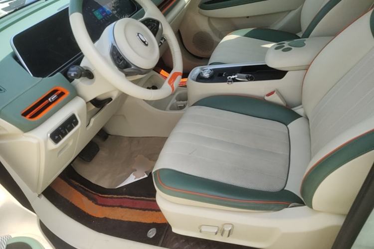 Used ORA Good Cat 2022 Morandi Edition 400km Standard Range Premium Version Lithium Iron Phosphate Left Front Seat