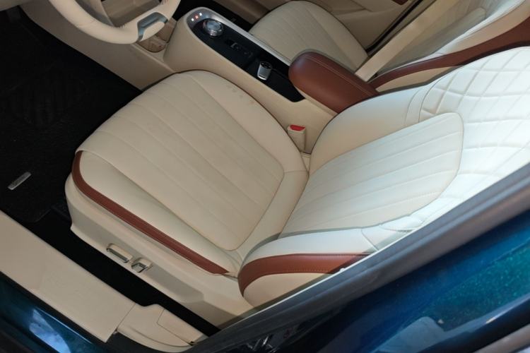 Used ORA Good Cat 2022 Morandi Edition 400km Standard Range Luxury Version Lithium Iron Phosphate Left Front Seat