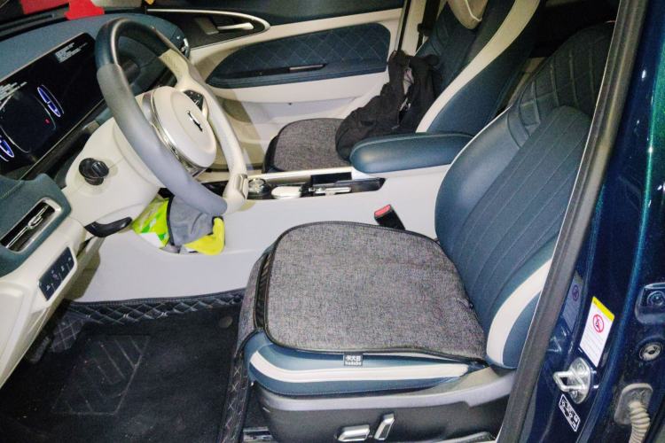Used ORA Good Cat 2022 400km Standard Range Luxury Version Lithium Iron Phosphate Left Front Seat