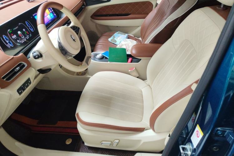 Used ORA Good Cat 2022 Morandi Edition 400km Standard Range Premium Version Lithium-Ion Battery Left Front Seat