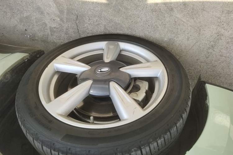 Used ORA Good Cat 2022 Morandi Edition 400km Standard Range Premium Version Lithium Iron Phosphate Left Front Wheel Hub