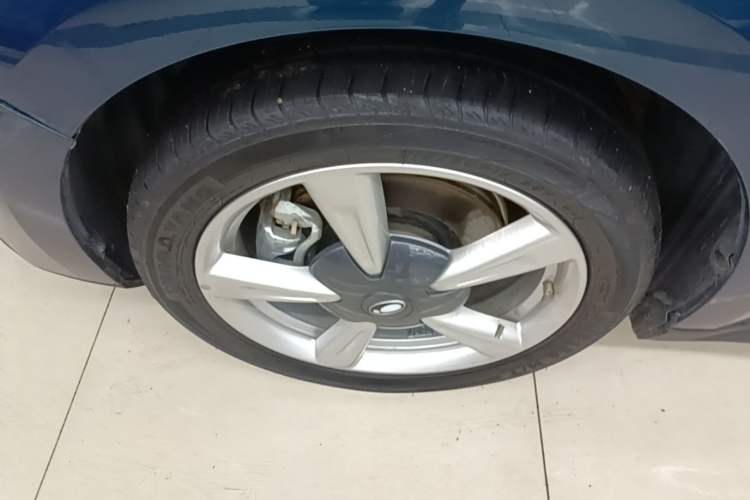 Used ORA Good Cat 2022 400km Standard Range Luxury Version Lithium Iron Phosphate Left Front Wheel Hub
