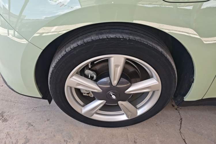 Used ORA Good Cat 2022 Morandi Edition 400km Standard Range Premium Version Lithium Iron Phosphate Left Front Wheel Hub