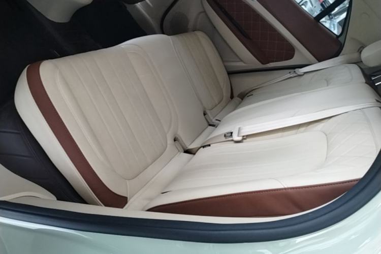 Used ORA Good Cat 2022 Morandi Edition 400km Standard Range Premium Version Lithium-Ion Battery Left Rear Seat