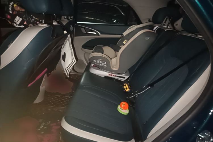 Used ORA Good Cat 2022 Morandi Edition 400km Standard Range Luxury Version Lithium-Ion Battery Left Rear Seat