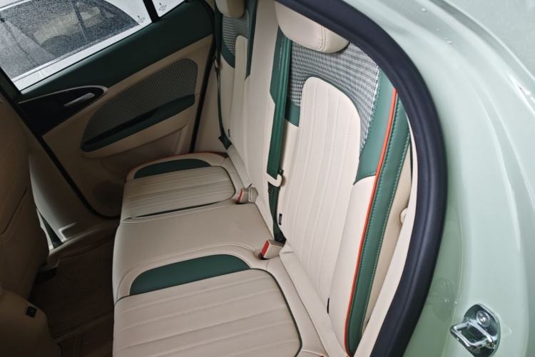 Used ORA Good Cat 2022 Morandi Edition 400km Standard Range Luxury Version Lithium-Ion Battery Left Rear Seat