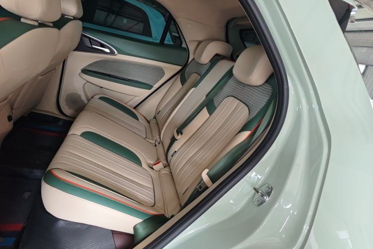 Used ORA Good Cat 2022 Morandi Edition 400km Standard Range Luxury Version Lithium-Ion Battery Left Rear Seat