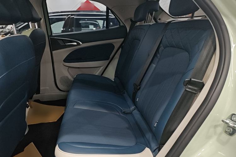 Used ORA Good Cat 2022 Morandi Edition 400km Standard Range Premium Version Lithium Iron Phosphate Left Rear Seat