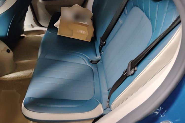 Used ORA Good Cat 2022 Morandi Edition 400km Standard Range Premium Version Lithium Iron Phosphate Left Rear Seat