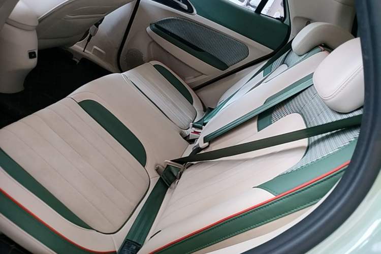Used ORA Good Cat 2022 Morandi Edition 400km Standard Range Luxury Version Lithium-Ion Battery Left Rear Seat
