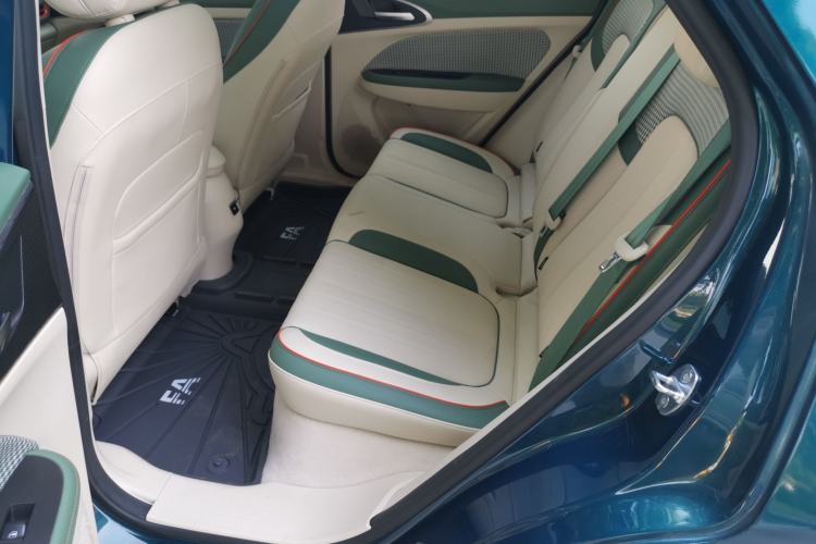 Used ORA Good Cat 2022 Morandi Edition 400km Standard Range Premium Version Lithium-Ion Battery Left Rear Seat