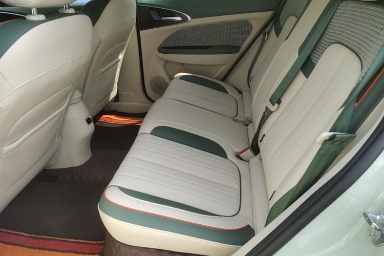 Used ORA Good Cat 2022 Morandi Edition 400km Standard Range Premium Version Lithium Iron Phosphate Left Rear Seat