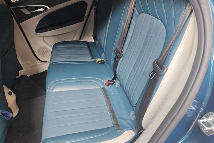 Used ORA Good Cat 2022 Morandi Edition 400km Standard Range Premium Version Lithium Iron Phosphate Left Rear Seat