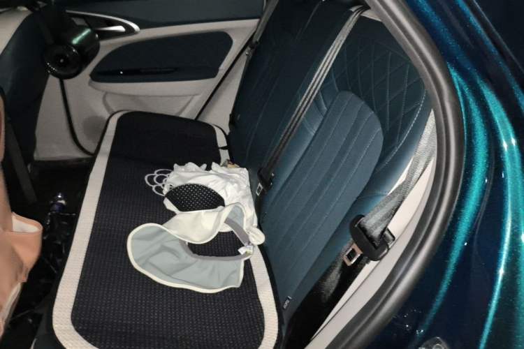 Used ORA Good Cat 2022 400km Standard Range Premium Version Lithium-Ion Battery Left Rear Seat