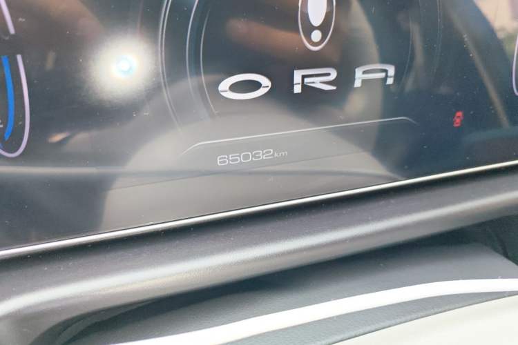 Used ORA Good Cat 2022 Morandi Edition 400km Standard Range Two-Week Young Enjoyment Version Lithium Iron Phosphate Odometer Close Up