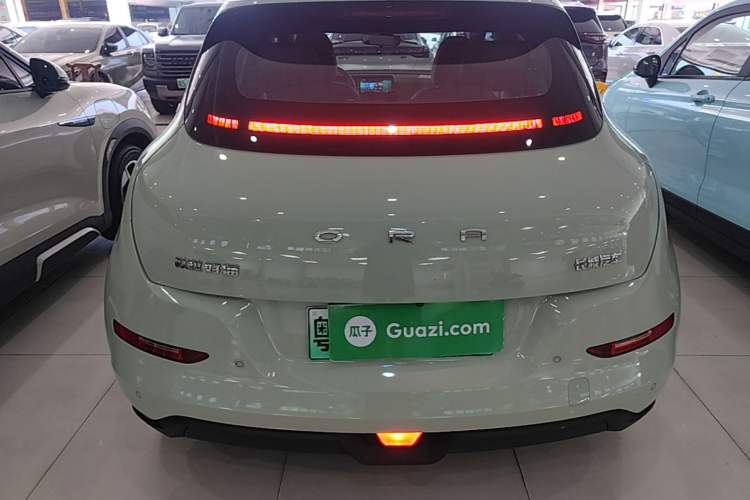 Used ORA Good Cat 2022 Morandi Edition 400km Standard Range Two-Week Young Enjoyment Version Lithium Iron Phosphate Rear