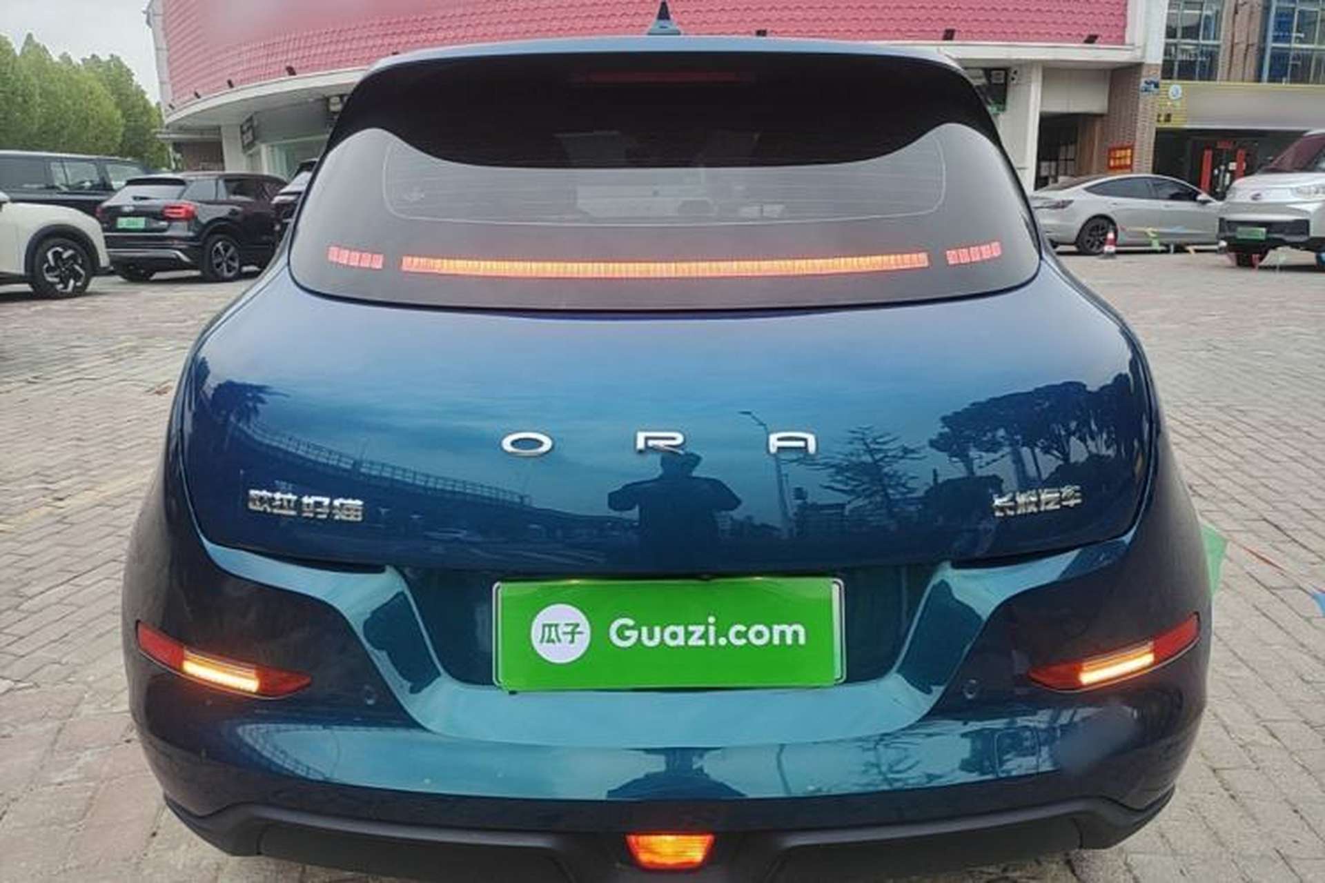 Used ORA Good Cat 2022 Morandi Edition 400km Standard Range Luxury Version Lithium-Ion Battery Rear