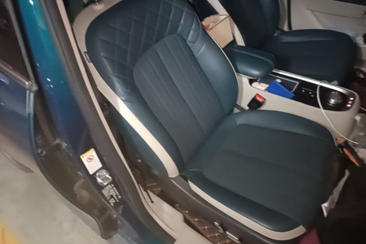 Used ORA Good Cat 2022 Morandi Edition 400km Standard Range Luxury Version Lithium-Ion Battery Right Front Seat