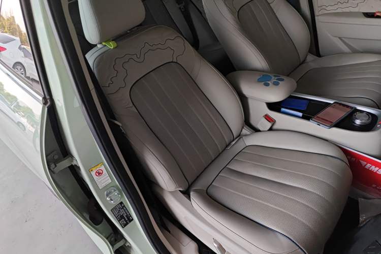 Used ORA Good Cat 2022 Morandi Edition 400km Standard Range Premium Version Lithium-Ion Battery Right Front Seat