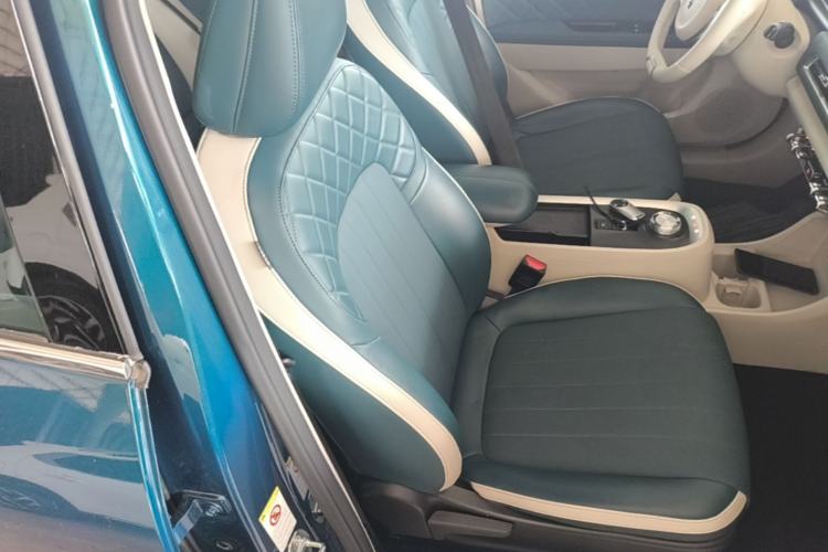 Used ORA Good Cat 2022 Morandi Edition 400km Standard Range Luxury Version Lithium-Ion Battery Right Front Seat