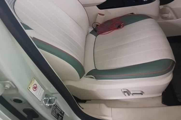Used ORA Good Cat 2022 Morandi Edition 400km Standard Range Premium Version Lithium-Ion Battery Right Front Seat