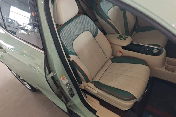 Used ORA Good Cat 2022 Morandi Edition 400km Standard Range Luxury Version Lithium-Ion Battery Right Front Seat