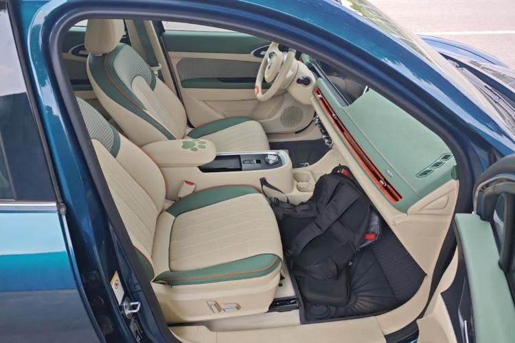 Used ORA Good Cat 2022 Morandi Edition 400km Standard Range Premium Version Lithium-Ion Battery Right Front Seat