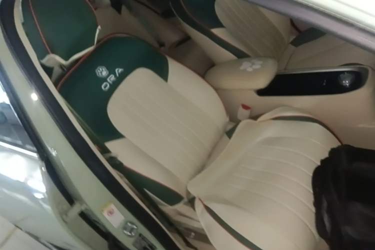Used ORA Good Cat 2022 Morandi Edition 400km Standard Range Luxury Version Lithium Iron Phosphate Right Front Seat