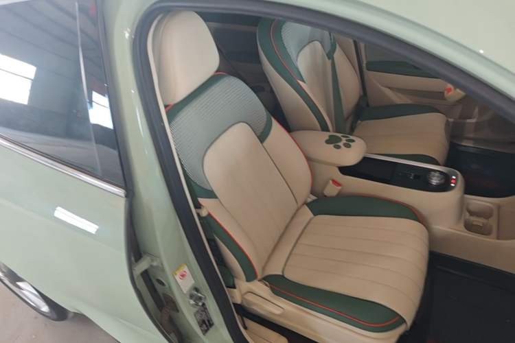 Used ORA Good Cat 2022 Morandi Edition 400km Standard Range Luxury Version Lithium-Ion Battery Right Front Seat