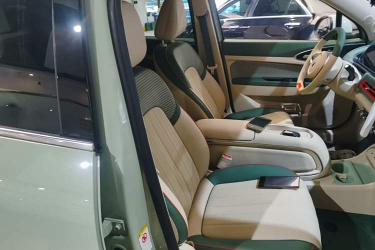Used ORA Good Cat 2022 400km Standard Range Luxury Version Lithium Iron Phosphate Right Front Seat