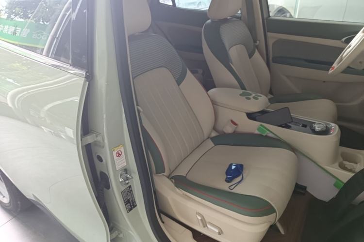 Used ORA Good Cat 2022 Morandi Edition 400km Standard Range Two-Week Young Enjoyment Version Lithium Iron Phosphate Right Front Seat