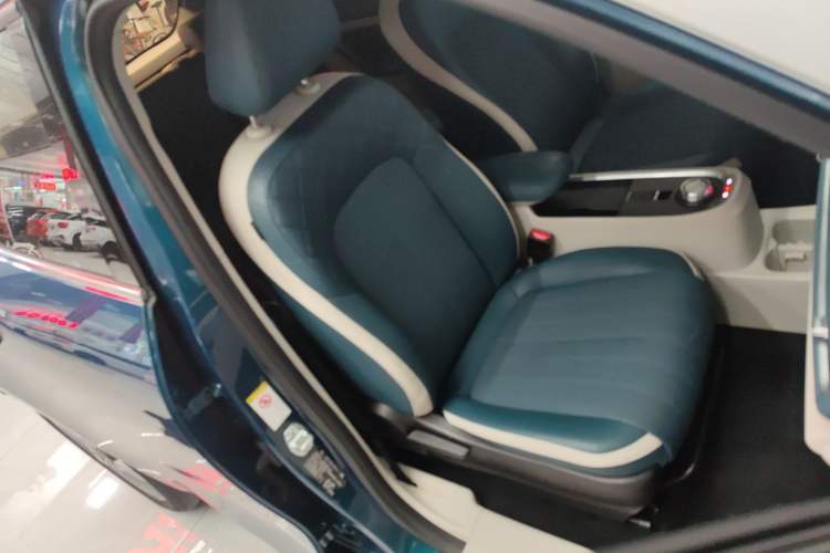 Used ORA Good Cat 2022 Morandi Edition 400km Standard Range Luxury Version Lithium Iron Phosphate Right Front Seat
