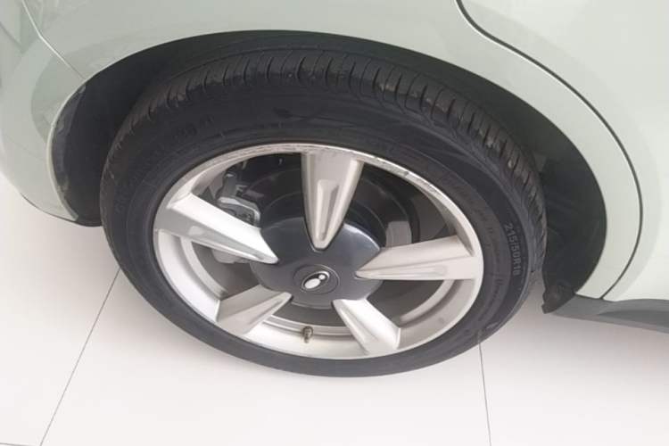 Used ORA Good Cat 2022 Morandi Edition 400km Standard Range Premium Version Lithium-Ion Battery Right Rear Wheel Hub