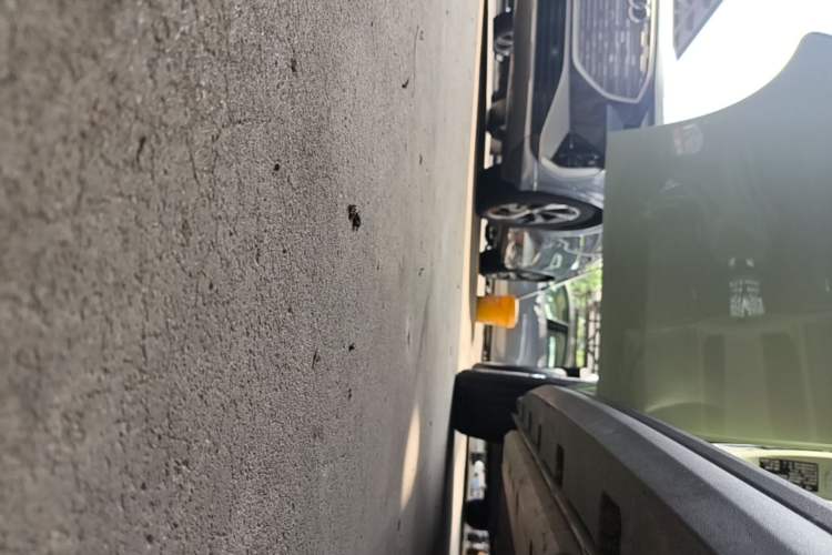 Used ORA Good Cat 2022 400km Standard Range Premium Version Lithium Iron Phosphate Right Side Sill