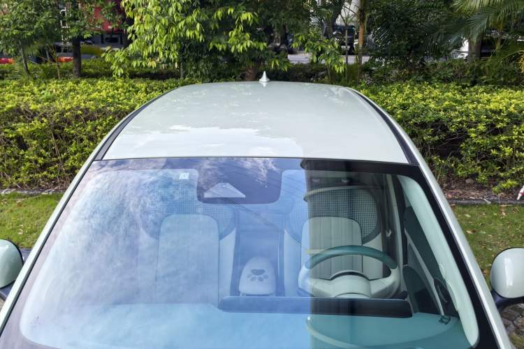 Used ORA Good Cat 2022 Morandi Edition 400km Standard Range Luxury Version Lithium-Ion Battery Roof