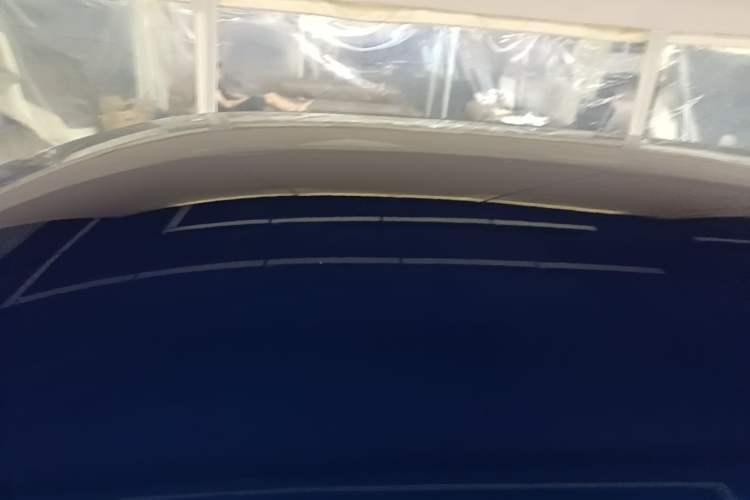 Used ORA Good Cat 2022 400km Standard Range Luxury Version Lithium Iron Phosphate Roof