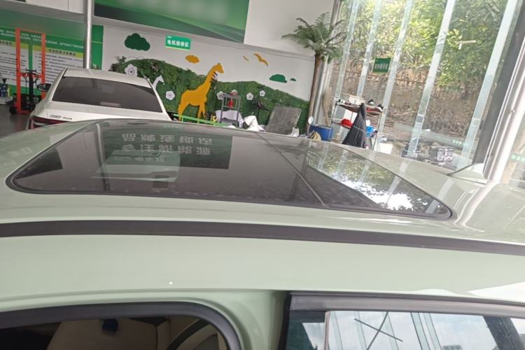 Used ORA Good Cat 2022 Morandi Edition 400km Standard Range Two-Week Young Enjoyment Version Lithium Iron Phosphate Roof