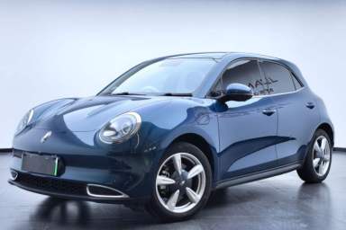 Used ORA Good Cat 2022 400km Standard Range Premium Version Lithium-Ion Battery