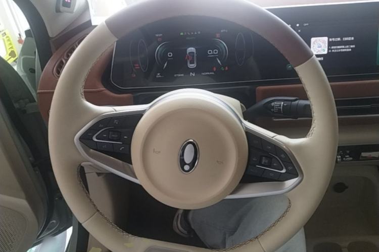 Used ORA Good Cat 2022 Morandi Edition 400km Standard Range Premium Version Lithium-Ion Battery Steering Wheel