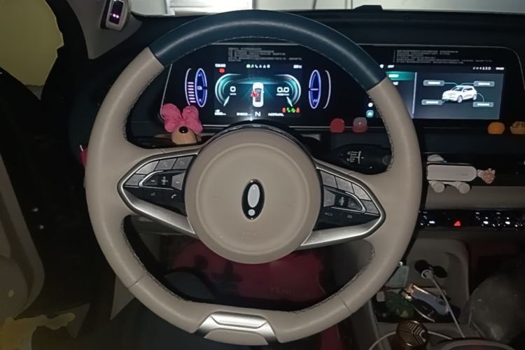 Used ORA Good Cat 2022 Morandi Edition 400km Standard Range Luxury Version Lithium-Ion Battery Steering Wheel