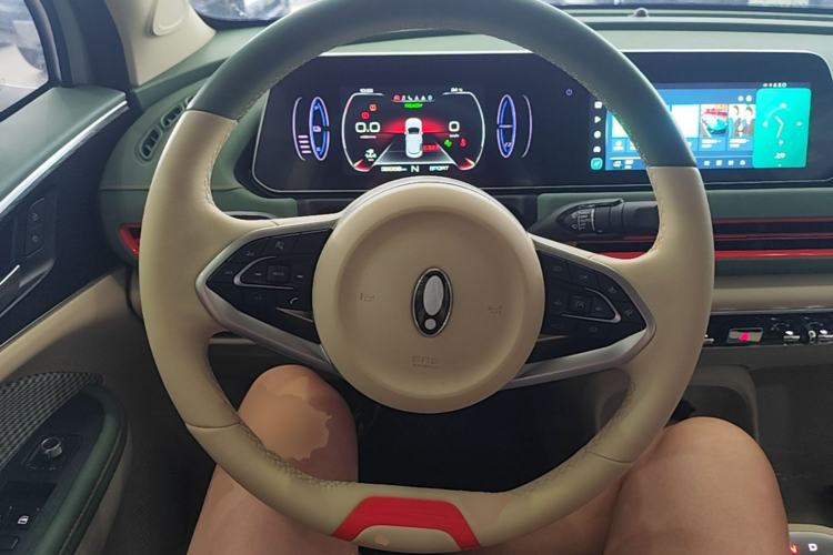 Used ORA Good Cat 2022 Morandi Edition 400km Standard Range Two-Week Young Enjoyment Version Lithium Iron Phosphate Steering Wheel