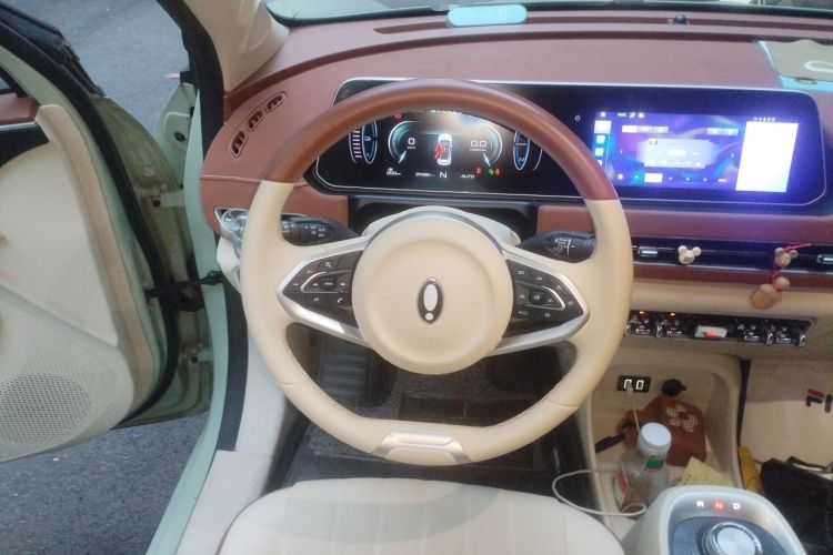 Used ORA Good Cat 2022 Morandi Edition 400km Standard Range Luxury Version Lithium Iron Phosphate Steering Wheel