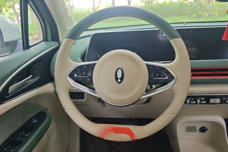 Used ORA Good Cat 2022 Morandi Edition 400km Standard Range Luxury Version Lithium Iron Phosphate Steering Wheel